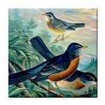 American robin ceramic wall tile / Tile Coaster / Tile trivet