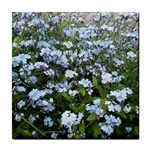 Blue Forget-me-not flowers Tile Coasters