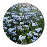 Blue Forget-me-not flowers Round Mousepads