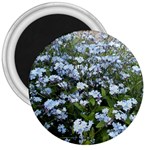 Blue Forget-me-not flowers 3  Magnets