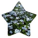 Blue Forget-me-not flowers Ornament (Star) 