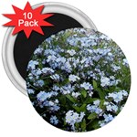 Blue Forget-me-not flowers 3  Magnets (10 pack) 