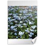 Blue Forget-me-not flowers Canvas 24  x 36 