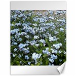 Blue Forget-me-not flowers Canvas 36  x 48  