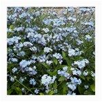 Blue Forget-me-not flowers Medium Glasses Cloth