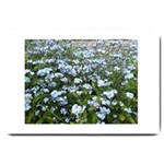 Blue Forget-me-not flowers Large Doormat 