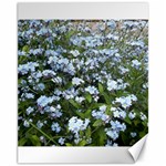 Blue Forget-me-not flowers Canvas 11  x 14  