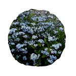 Blue Forget-me-not flowers Standard 15  Premium Flano Round Cushions