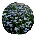 Blue Forget-me-not flowers Large 18  Premium Flano Round Cushions