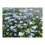 Blue Forget-me-not flowers Double Sided Flano Blanket (Mini) 