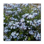 Little Blue Forget-me-not flowers Tile Coasters