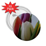 Colored by Tulips 2.25  Buttons (10 pack) 