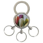 Colored by Tulips 3-Ring Key Chains