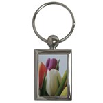 Colored by Tulips Key Chains (Rectangle) 