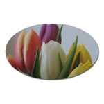 Colored by Tulips Oval Magnet