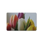 Colored by Tulips Magnet (Name Card)