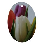 Colored by Tulips Oval Ornament (Two Sides)