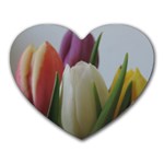 Colored by Tulips Heart Mousepads