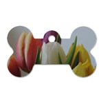 Colored by Tulips Dog Tag Bone (Two Sides)