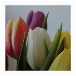 Colored by Tulips Medium Glasses Cloth