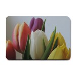 Colored by Tulips Small Doormat 