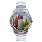 Colored by Tulips Stainless Steel Analogue Watch