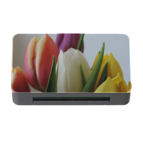 Colored by Tulips Memory Card Reader with CF from ArtsNow.com Front