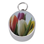 Colored by Tulips Mini Silver Compasses