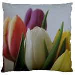 Colored by Tulips Large Flano Cushion Case (One Side)