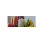 Colored by Tulips Satin Scarf (Oblong)