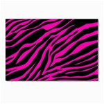 pink zebra  Postcard 4  x 6 