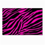 pink zebra  Postcards 5  x 7  (Pkg of 10)