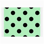 Polka Dots - Black on Mint Green Large Glasses Cloth