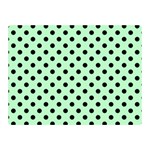 Polka Dots - Black on Mint Green Double Sided Flano Blanket (Mini)