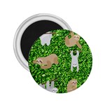 Funny Sloths 2.25  Magnet