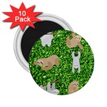 Funny Sloths 2.25  Magnet (10 pack)