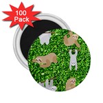 Funny Sloths 2.25  Magnet (100 pack) 