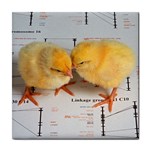 2 chicks ceramic wall tile / Tile Coaster / Tile trivet