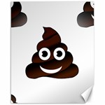 Funny Poop Emoji Canvas 16  x 20 