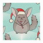 Christmas Chinchilla Medium Glasses Cloth