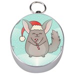 Christmas Chinchilla Silver Compass