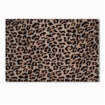 cheetah leopard print Postcard 4 x 6  (Pkg of 10)