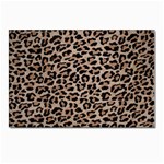 cheetah leopard print Postcard 5  x 7 