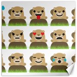 Groundhog Emojis Canvas 16  x 16 