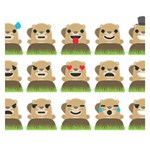 Groundhog Emojis Double Sided Flano Blanket (Small)