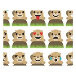 Groundhog Emojis Double Sided Flano Blanket (Large)