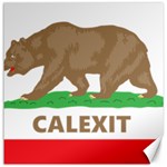 Calexit Canvas 20  x 20 