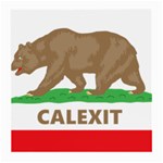 Calexit Medium Glasses Cloth