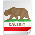 Calexit Canvas 16  x 20 