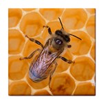 Honey bee ceramic wall tile / Tile Coaster / Tile trivet